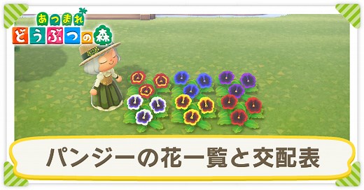 【あつ森】パンジーの花(種類)一覧と交配表【あつまれどうぶつの森】｜ゲームエイト