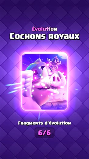 Royal pig evo 🫨🫨🫨#clashroyale #trendingshorts #evolution