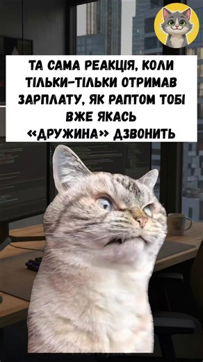 Життєві меми та гумор українською