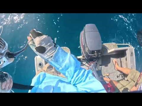 Fishing the Great Barrier Reef off Port Douglas with Pete