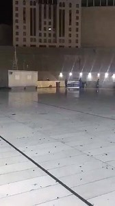 Using insect spray, workers removed locust and other bugs from the skies of Haram | Inside the Haramain