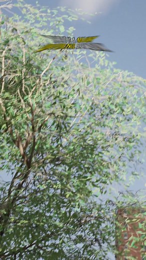 Session Skate Simulation: Realism vs. Arcade | Gaming Reviews