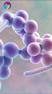 Yeast Overgrowth Alleviation | Candidasis | Rife Freq For Skin & Gut Relief