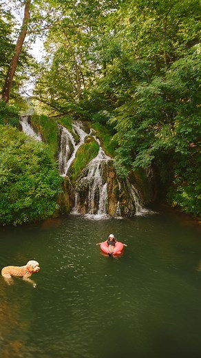 Airbnb in Virginia with Private Waterfall, Swimming Hole and more! ‼️Exclusive access through reservations or guest stays only. Virginia’s 65-acre private nature preserve. Natural Attractions: - A 40-foot waterfall - Refreshing swimming hole - Active sulphidic Cesspool Cave - Unique rock formations - Tranquil trout stream - Thriving beaver dam and swamp ecosystem. Activities: - Hiking trails with stunning mountain views Lodging Options: - Clamping Tents - A-frame For convenience: Bull Pine Campe