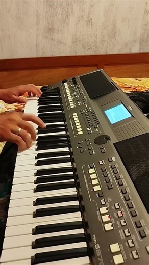 EU SÓ QUERO UM XODÓ #saojoao #forrozão #nordeste #forródequalidade