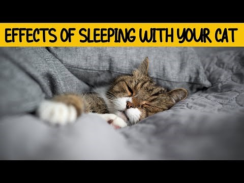 This is what happens when you sleep with your cat every night