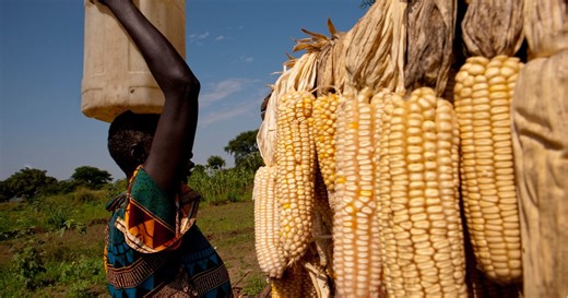 Addressing food insecurity in the Middle East and North Africa: innovations in data monitoring