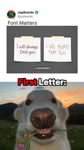 Some words have multiple meanings #animationmeme 🛅🥑