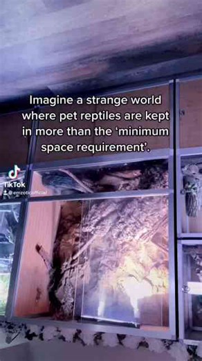 Stranger things - but reptiles