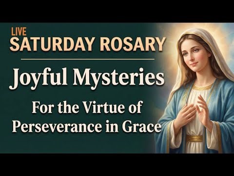 Saturday Holy Rosary | Peaceful Rosary Prayer Today
