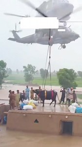 After all, how did the floods occur in Punjab , , , #punjab#science #panjabfloods #facts#animal#jungle#snnke#nature #incrediblefacts #uniquefacts #princeoffact#AmazingFacts #CuriousFacts #AwesomeFacts #RandomFacts #hindifact #facthindi | Saidul Islam Talukdar