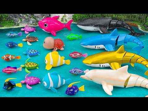 Satisfied unboxing aquarium mysterious turtle box hippocampus box set ASMR | Toy evaluation