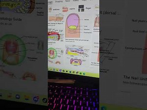 Join 30-day ICD-10 CM learning plan for beginners and become a pro at medical coding!