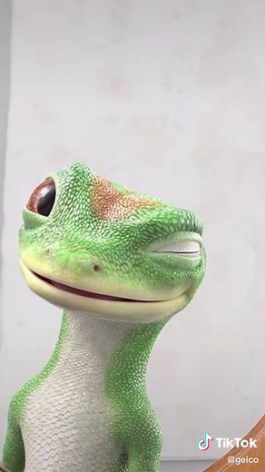 Exploring the Social Media Magic of GEICO's Gecko