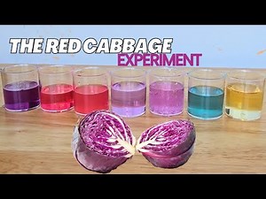 Fun Red Cabbage pH Experiment for Busy Parents | Easy At-Home Science with Kids