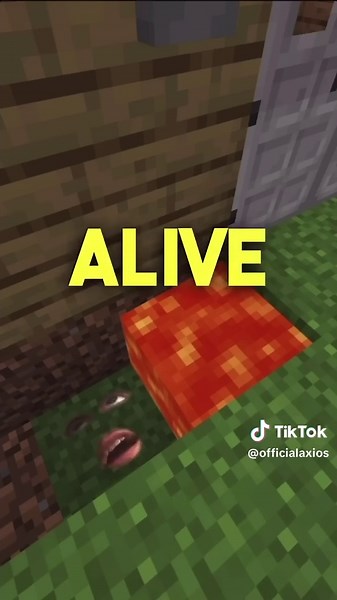 When you are making a moat around your house on Minecraft. ##minecraft##minecraftbuilding##minecraftmemes##minecrafttutorial