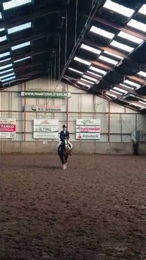 #roblox #funny #edit #horse #bekent #equestrian #pony #trendingshorts #teamcrazyy