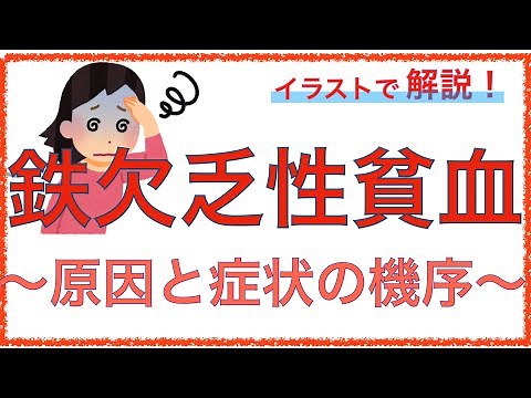 教科書をわかりやすく！「鉄欠乏性貧血の原因と症状とは」胃切除で貧血になる機序とは？
