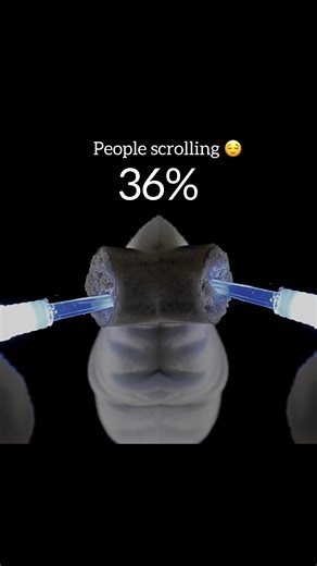 1% people scrolling 😌 #asmr | ASMR