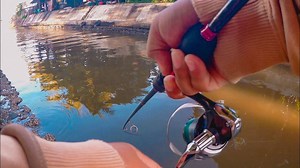 24K views · 624 reactions | FISHING SA KANAL | C&R + TIPS KUNG PAANO GAMITIN ANG YAMA MICRO JIG Micro fishing sa isang kanal , plus tips kung paano gamitin ang Yama Micro Casting Jig. Gear Used: Rod : Crony RockFish 706UL 2-6lb Reel : Shimano Seinna 1000FE Line : Tokuryo Light Game 5lb Leader: Eupro Xpower 10lb Lure :Yama Micro Nano Jig 2.5g https://shopee.ph/product/168973600/9287998216?smtt=0.168975916-1632318644.9 | ULfishingPh | Facebook