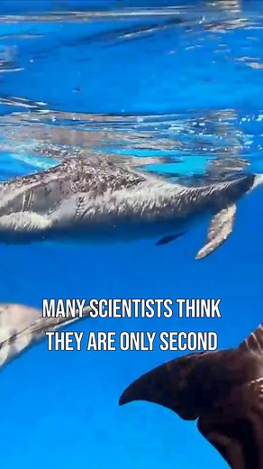 16K views · 610 reactions | Seventh-day Adventist Church on Reels | Facebook