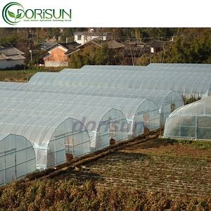 [Hot Item] 6X3.5X1.95m Large Poly Transparent Heater Poly Tunnel Seeding Strawberry Green House