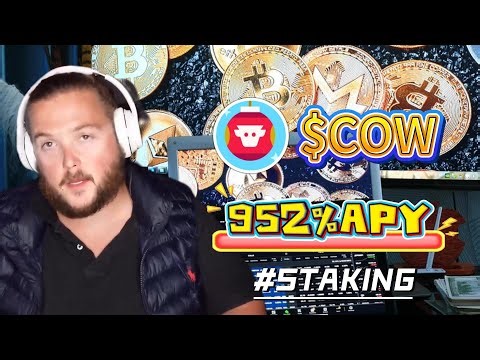 Stake COW Token Like a Pro – Best Project Tutorial for Farming 952% APY
