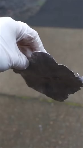 228K views · 2.6K reactions | Don't eat sodium pancakes ​丹 | The Action Lab | Facebook