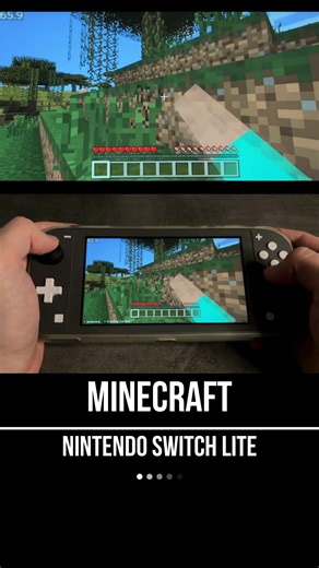 Minecraft Nintendo Switch Lite Gameplay - FPS Monitor