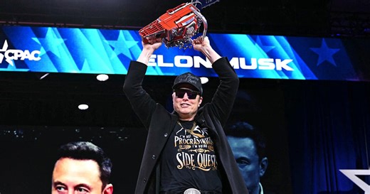 Gov't expert on Musk, DOGE's "slash-and-burn exercise"