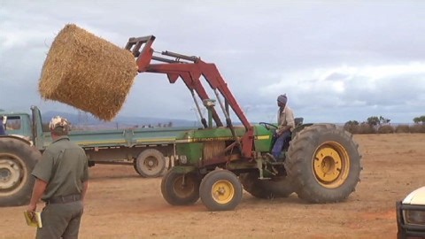 G20 : Opportunity to use agriculture to put Africa on the map