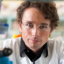 Professor Nikolas Haass