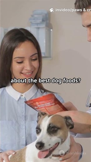 Which Food Is BEST for Dogs? 🐶🍗 Vet-Approved List Revealed! #shorts #pets #dog