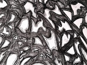 Compartmentalized - Etsy Australia