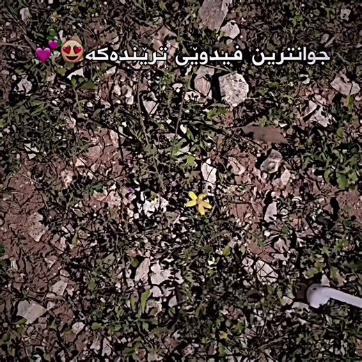 ڤیدیۆی نوێی ترێند بزانە!