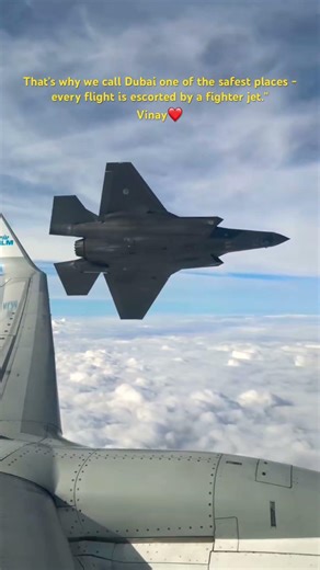 That's why we call Dubai one of the safest places -every flight is one fighter jet ✈️ #dubaiLife797