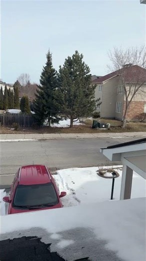 Spring is in the air