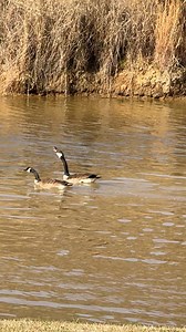 Why this got so grumpy? | Muhammad Saleem