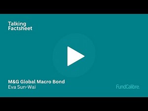 How the M&G Global Macro Bond fund fits into your portfolio