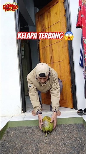 flying coconut 😱 #shorts #edgar #dinosaur #coconut #fly #fly #funny #trending #comedy