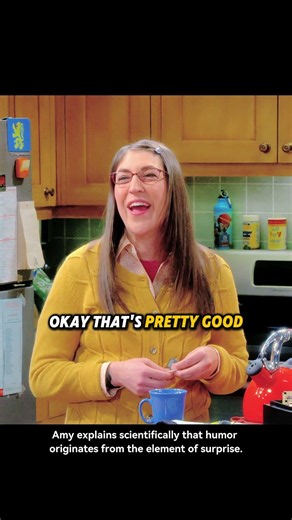 Sheldon's "Theory of Humor"