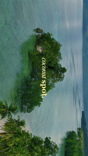 Ini dia Spot kelapa lamin guntur. yang selalu menjadi wishlist destinasi ketika traveling ke biduk biduk. ——— OPEN TRIP BIDUK-BIDUK 4 hari 3 malam (Minimal 4 orang berangkat ) ⚓️ ( PRIVAT TRIP BEBAS PILIH TANGGAL ) (Destinasi) danau sigending , labuan cermin spot kelapa lamin guntur, kaniungan kecil, kaniungan besar air terjun nyalimah, spot penyu teluk sigending transportasi PP, ✅ komsumsi selama trip,✅ asuransi ,✅ premium dokumentasi drone, by amica,✅ life jacket, ✅ snorkel equipment ✅ profess