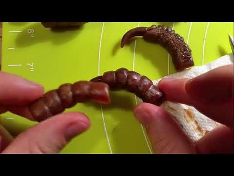 Wax sculpture techniques: Eagle Claw