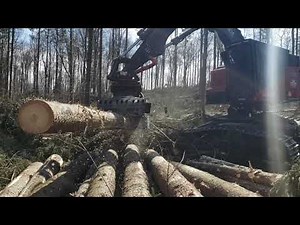 Treemasters 2 TimberPro TL 735D with a Rolly head and a Timber Pro 830D