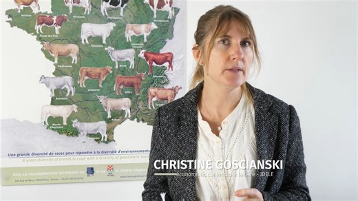 [ #Économie de l'#élevage - Tendances lait et viande janvier 2026 ] Quand le rebond de la collecte #laitière se heurte au marché 💡 La production laitière reste en nette hausse dans les principaux bassins laitiers et pèse sur les cours des commodités laitières : les prix du beurre et de la poudre maigre poursuivent leur repli, entraînant avec eux les prix à la production. La France ne fait désormais plus exception. 📌 Fait positif néanmoins, la consommation de produits laitiers a résisté en 2025