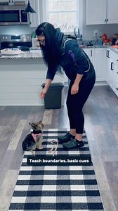 4.2K views · 34 reactions | ✨4 Pro-Tips for Training Small Dogs ✨ #smalldogsofinstagram #dogproblems #dogobediencetraining #positivedogtrainer #marylanddogtrainer #marylanddogs | Best Buddy Dog Trainer, LLC | Facebook