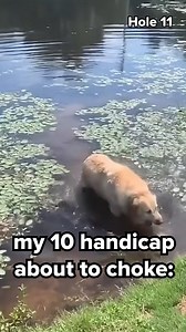 #golf #golfing #golfers #memes #golfmemes #relatablememes #golfstuff #golflife #pgatour #golfstagram #instagolf #tigerwoods #golfgods #pgamemes #weekendgolfer #shattuck | Meme Golfer