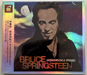 Bruce Springsteen - Working On A Dream