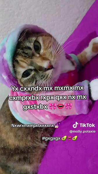 mx vv dxvxrxndx 🥑👄🥑💅🏻 #gogogo #fuerafifes🤮🤢 #potaxiesdecorazon #puchaina #puchaina #tilinxs🥑 #fypシ゚viral #cat