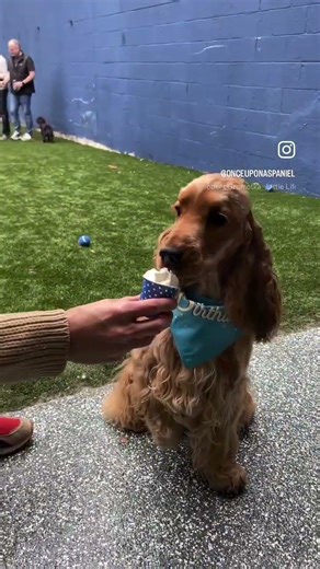 Happy pictures of happy days